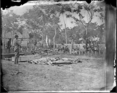 Dead ready for burial, at Fredericksburg, Va - NARA - 524490 photo