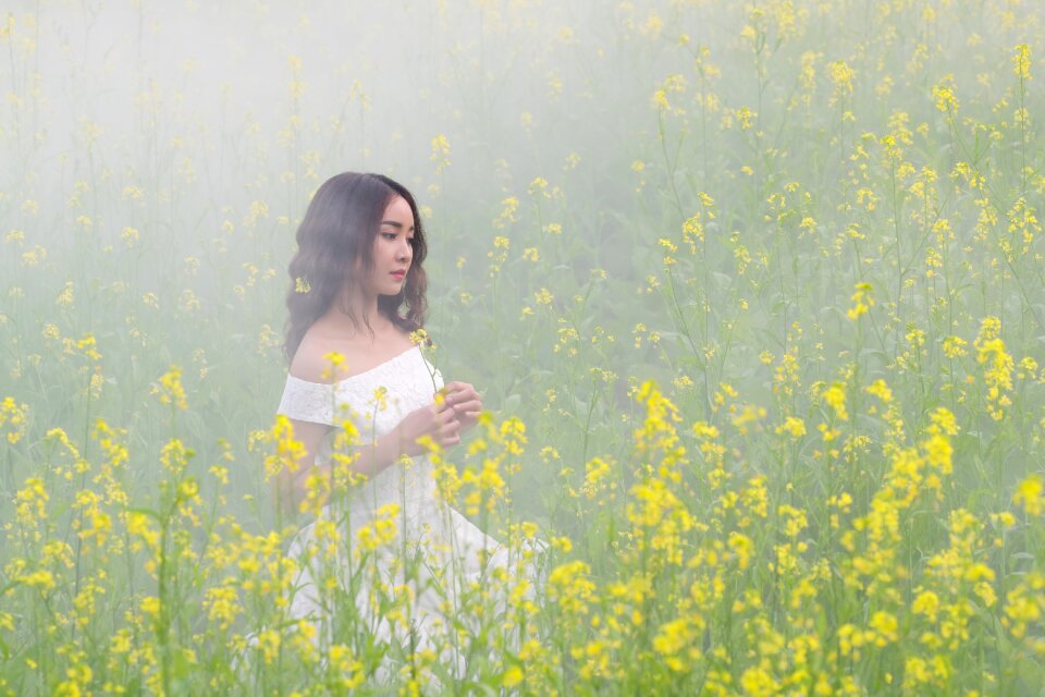 Flowers beauty tender