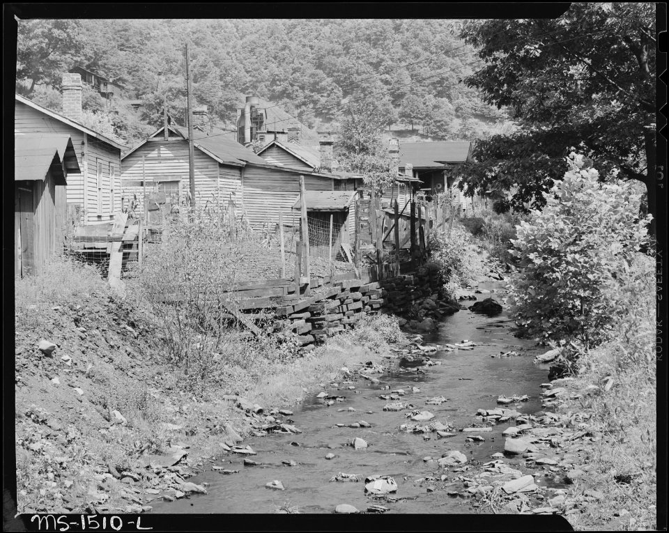 Debris-strewn stream which runs back of houses. Seepage from privies pollutes stream. Gilliam Coal and Coke Co... - NARA - 540830