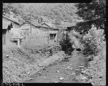 Debris-strewn stream which runs back of houses. Seepage from privies pollutes stream. Gilliam Coal and Coke Co... - NARA - 540830