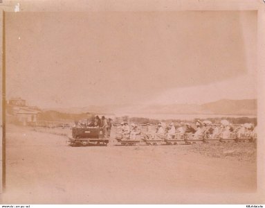 Decauville n° 155, la 'Nouméa' de Nouvelle-Caledonie 01