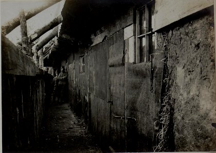 Deckung des Baonskommandos. F.J.Baon Nro.28. LOPUSZNO, 30.I.1916. (BildID 15453894)