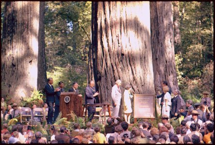Dedication of Lady Bird Johnson Grove in Redwood National Park, California - NARA - 194298