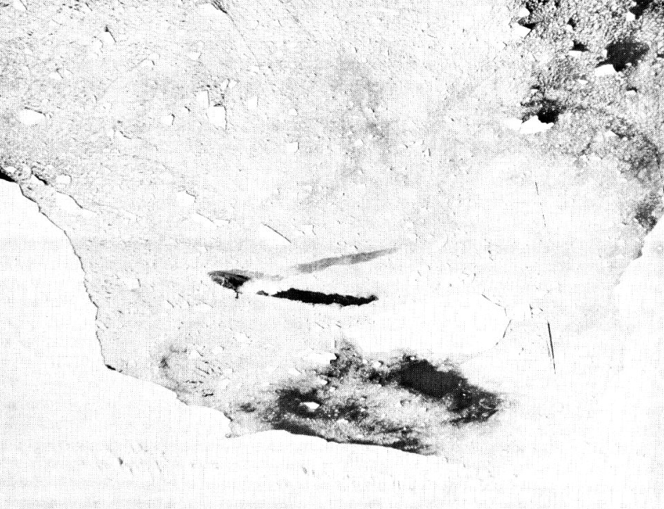 Deepfreeze I 027