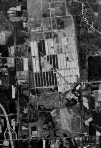 Defense Depot Ogden Utah 1971 1VCTY00010061