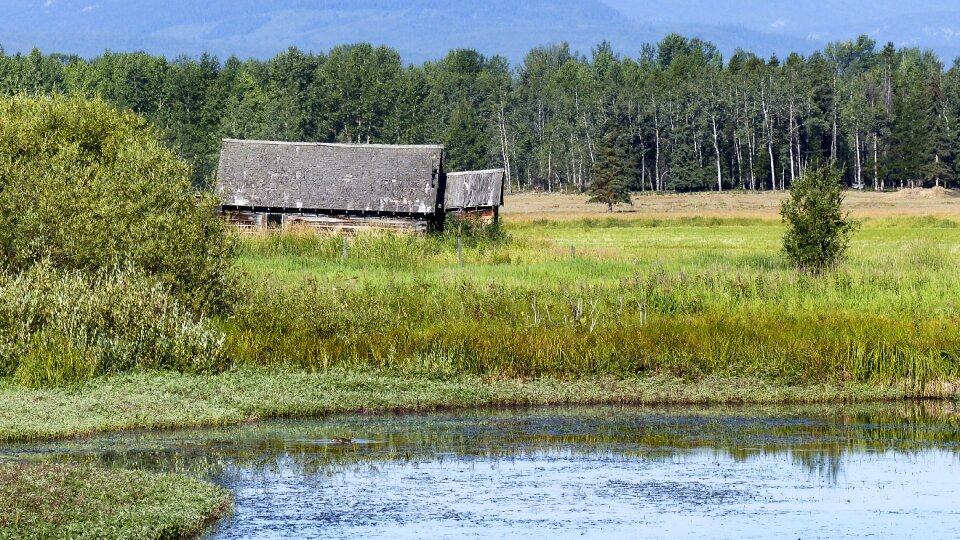 Countryside agriculture landscape photo