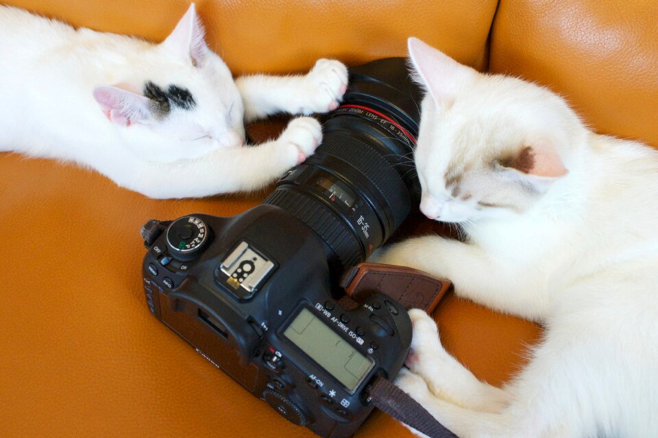 Iso aperture shutter