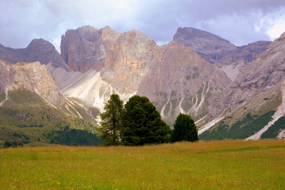 Rock prato trees photo