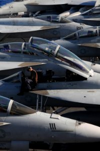 Defense.gov News Photo 100715-N-7605J-003 - U.S. Navy Airman Robert Haack prepares an F A-18F Super Hornet assigned to the Strike Fighter Squadron 154 for flight operations aboard the