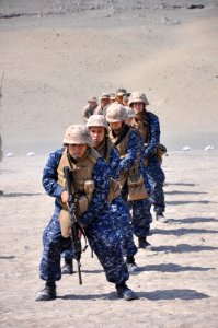 Defense.gov News Photo 100710-N-6199O-022 - U.S. Navy sailors and Marines assigned to the USS New Orleans LPD 18 along with Peruvian soldiers prepare to turn and fire on a gun range