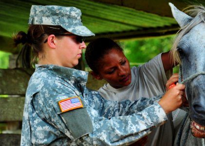 Defense.gov News Photo 100822-N-1531D-100 - U.S. Army Capt. Rebecca Carden left calms a horse as Pfc. Angela McCormick prepares to give it a vaccination during a veterinary visit to a farm in photo