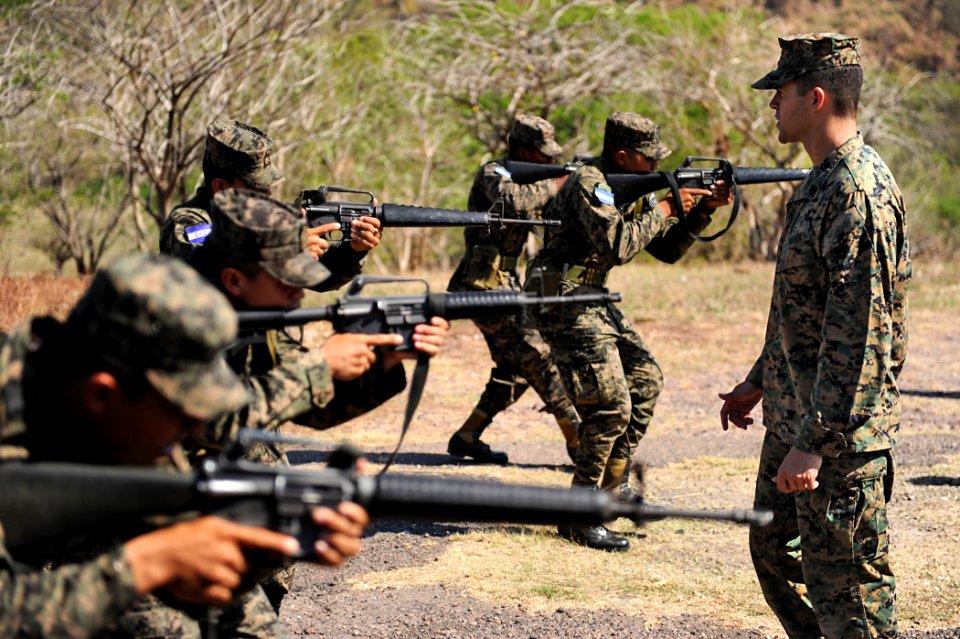 Defense.gov News Photo 110315-N-EC642-056 - U.S. Marine Corps Staff Sgt. Daniel Monteiro right assigned to Marine Corps Training and Advisory Group teaches proper tactical movement