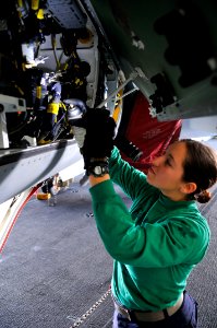 Defense.gov News Photo 110406-N-EE987-569 - U.S. Navy Petty Officer 2nd Class Adrian Ostolski sprays corrosion preventive compound into the avionics bay of an F A-18F Super Hornet aircraft