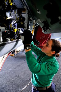 Defense.gov News Photo 110406-N-EE987-569 - U.S. Navy Petty Officer 2nd Class Adrian Ostolski sprays corrosion preventive compound into the avionics bay of an F A-18F Super Hornet aircraft photo