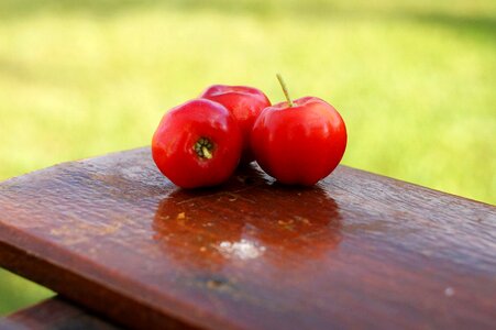 Acerola fruit vitamin