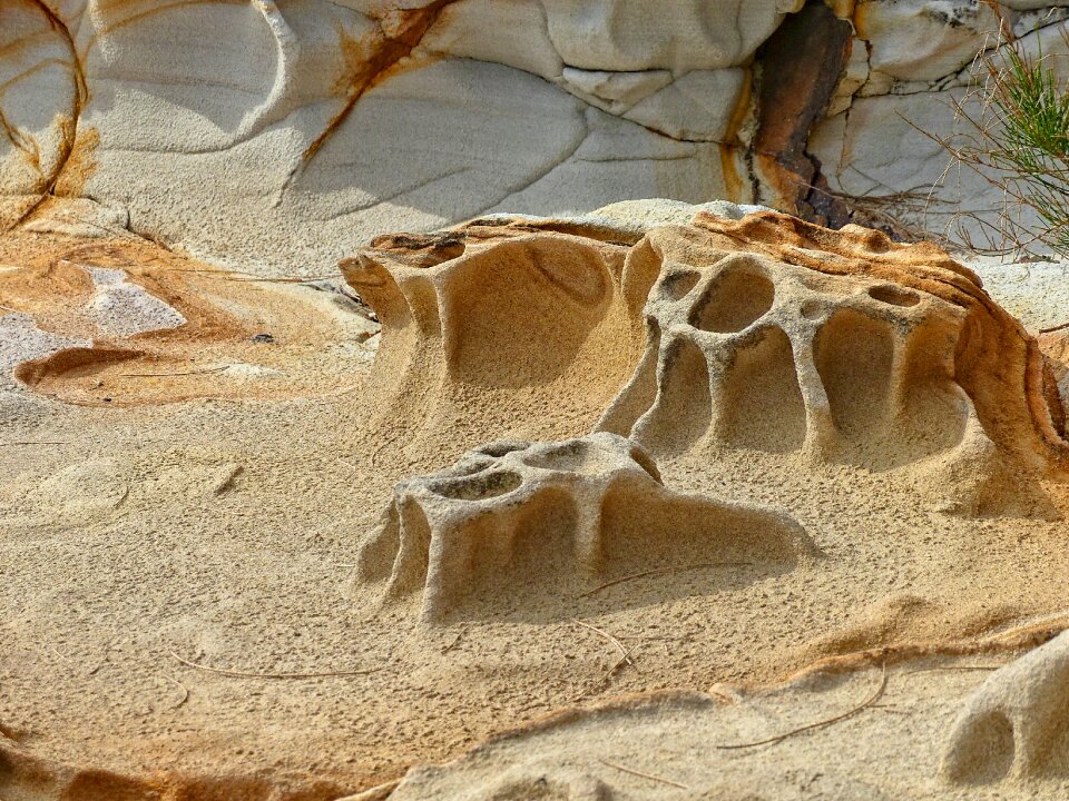 Nature beach shoreline