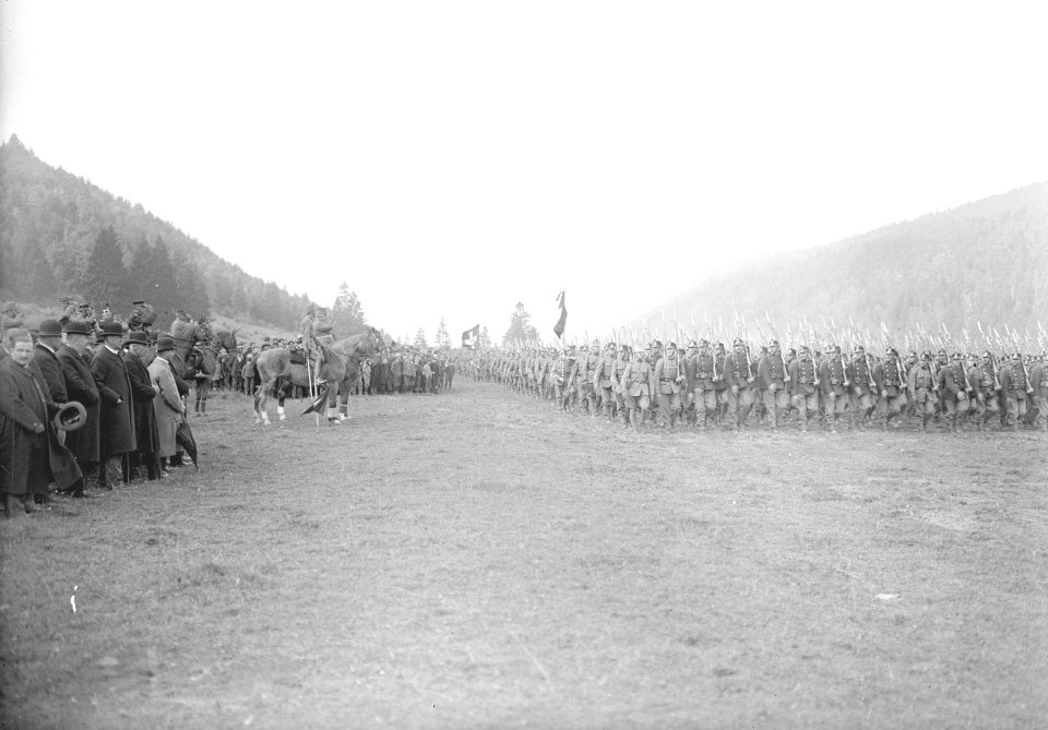 Defilee der Division 2 vor dem General - CH-BAR - 3240061