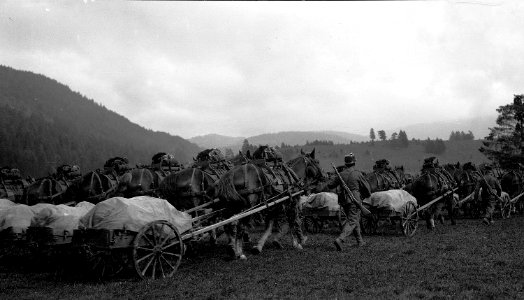 Defilee der Regiments Mitrailleure - CH-BAR - 3237190