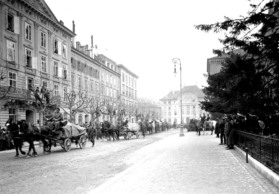 Defilee des Regiments vor dem General - CH-BAR - 3238144