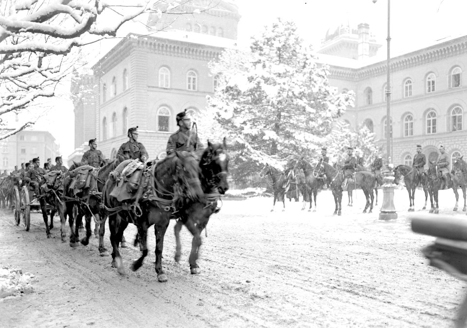 Defilee eines Regiments vor dem General - CH-BAR - 3238150