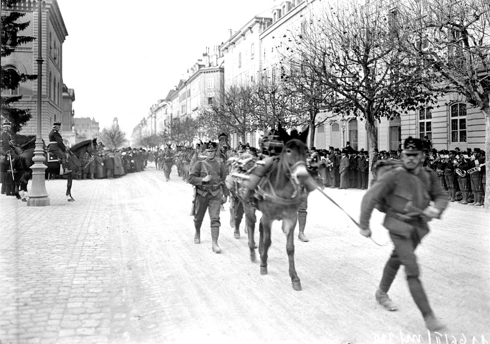 Defilee Gebirgs-Brigade Bundeshaus - CH-BAR - 3237780