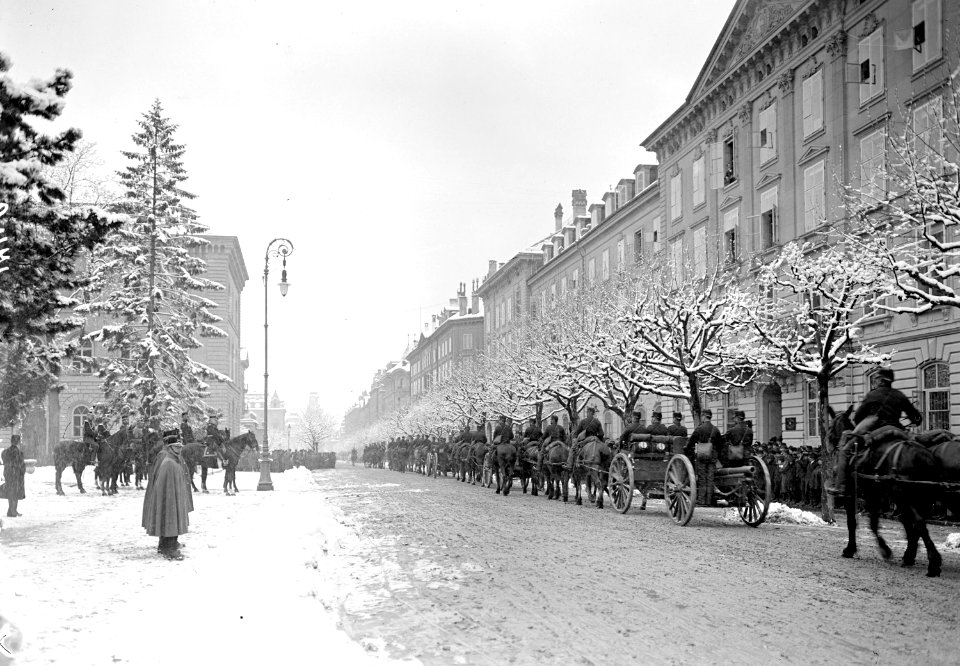 Defilee eines Regiments vor dem General - CH-BAR - 3238153