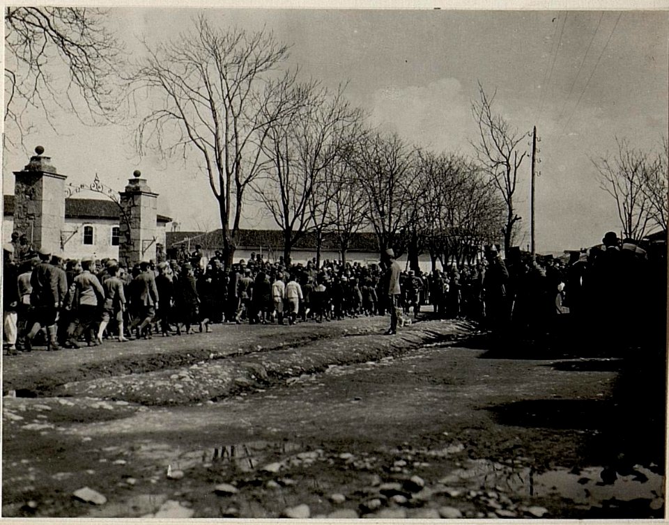 Defilierung der albanischen Jugend. Aufgenommen in Skutari am 14. März 1916. (BildID 15533095)