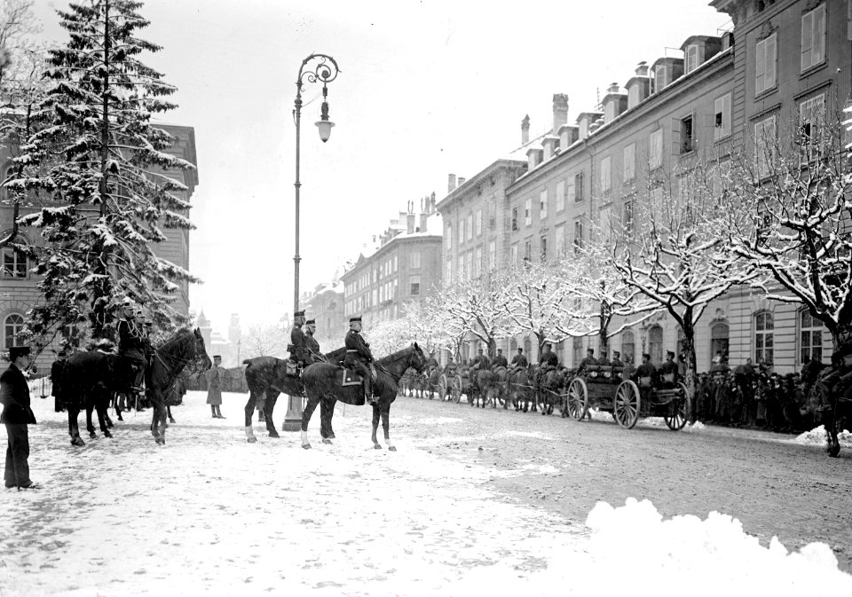 Defilee eines Regiments vor dem General - CH-BAR - 3238152