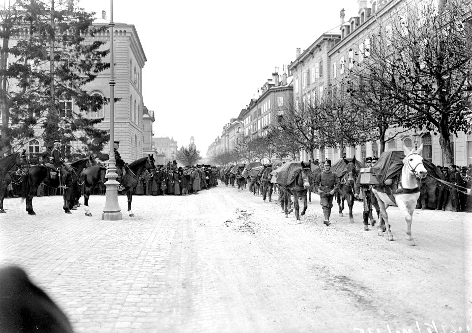 Defilee Gebirgs-Brigade Bundeshaus - CH-BAR - 3237781