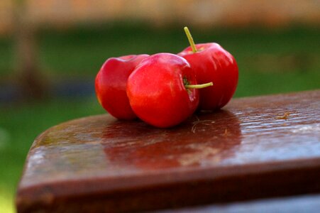 Acerola fruit vitamin
