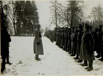 Dekorierung und Inspizierung durch Exzellenz Graf Bothmer im Schloss Raj. (BildID 15528367)
