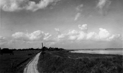 Deich bei Stein (Kiel 70.257)