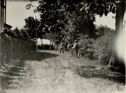 Dekorierung von Mannschaften durch Oberst von Ruzicic in Pomorzany (BildID 15544300)