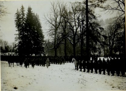 Dekorierung und Inspizierung durch Exzellenz Graf Bothmer im Schloss Raj. (BildID 15528346)