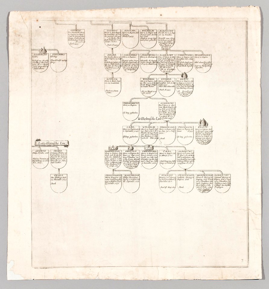 Del av stamträd över huset Wittelsbach (bayerska hertigar och pfalzgrevar) - Skoklosters slott - 99672