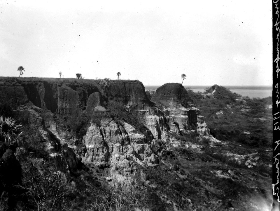 Del av övre platån på ön Mahakamby. Mahakamby, Île Mahakamby. Madagaskar - SMVK - 022022