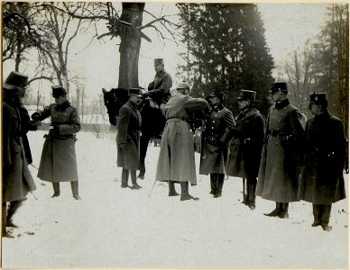 Dekorierung und Inspizierung durch Exzellenz Graf Bothmer im Schloss Raj. (BildID 15528458)