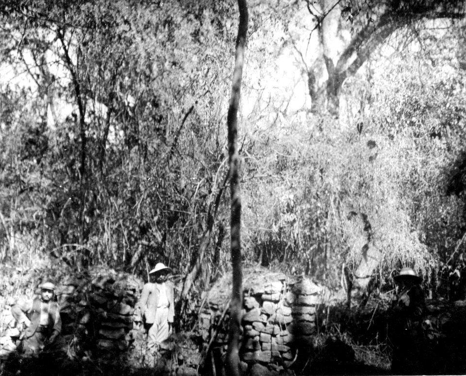 Delar av murresterna i urskogen. Lokal, Incahuasi vid Caraparicito, Bolivia. Chuquisaca - SMVK - 005803