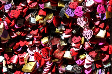 The relationship of the locks of love bond photo