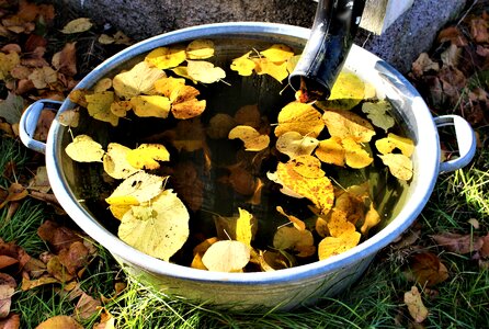 Yellow leaves barrel scabbard