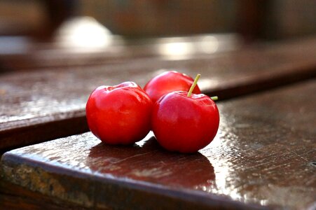 Acerola fruit vitamin