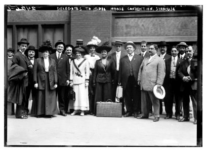 Delegates to Bull Moose Convention, Syracuse LCCN2014690626