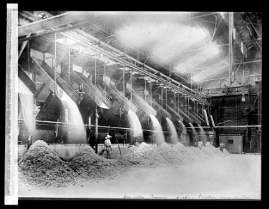 Delivering Bagasse to fire-room. Raw sugar mill. Hawaiian Islands LCCN2016824461