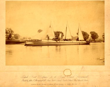 Delfinen at Thornycroft - 2012-630