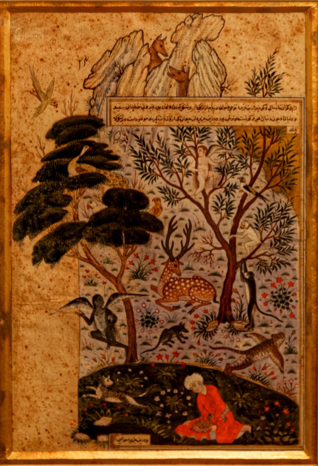 Delhi-National Museum-The wonder of creation-20131006