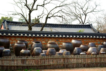 Traditional ripening liver detoxification