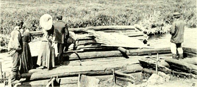 DEMIDOV(1904) p293 WATCHING A SHOAL OF SALMON (14759529716)