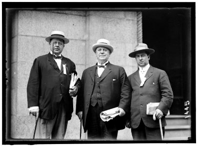 DEMOCRATIC NATIONAL CONVENTION. COL. P. DENTON, COL. JOHN I. MARTIN, JAY CAIRNS LCCN2016863872