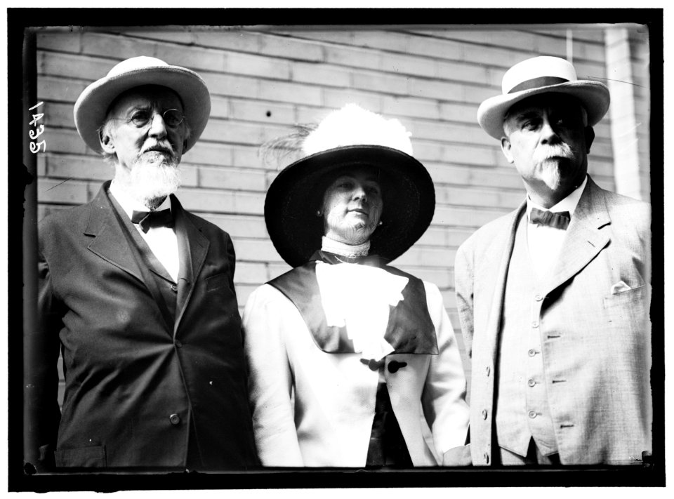DEMOCRATIC NATIONAL CONVENTION. EX-SENATOR FRANCIS B. COCKERELL, MRS. E.B. COCKERELL, ROBERT HOGAN LCCN2016863865