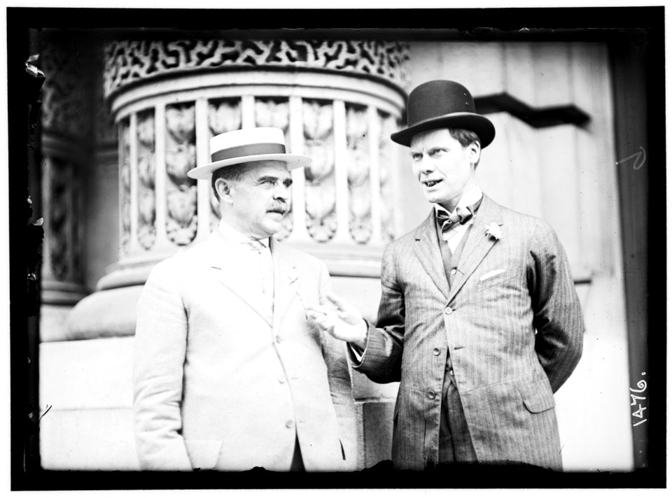 DEMOCRATIC NATIONAL CONVENTION. GEORGE M. PALMER, CHAIRMAN OF NEW YORK DELEGATION; REP. WILLIAM SULZER OF NEW YORK LCCN2016863896